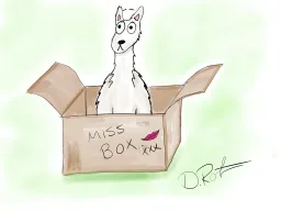 MissBox